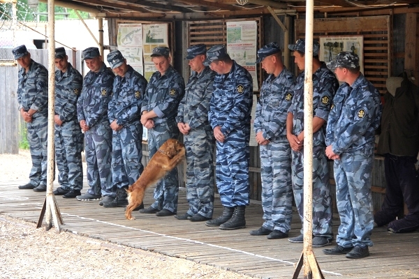 Сайт сизо сыктывкар